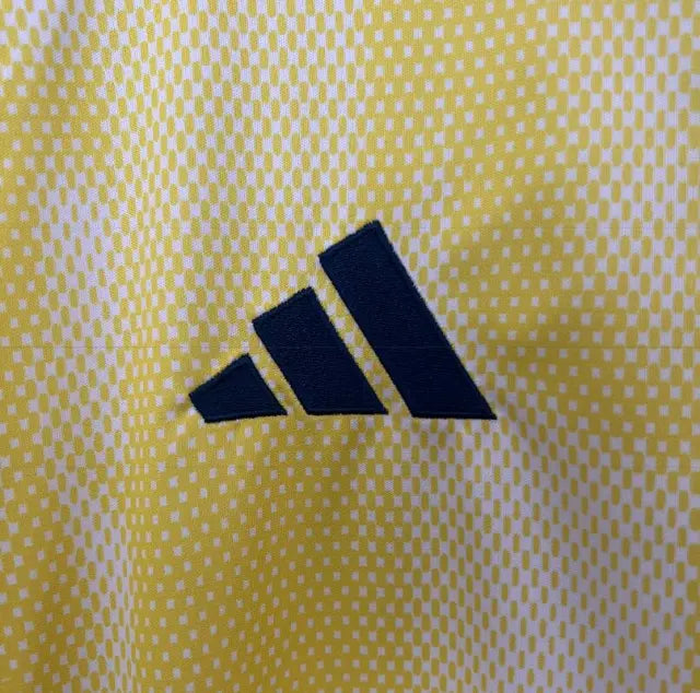 Juventus 24/25 Away Kit