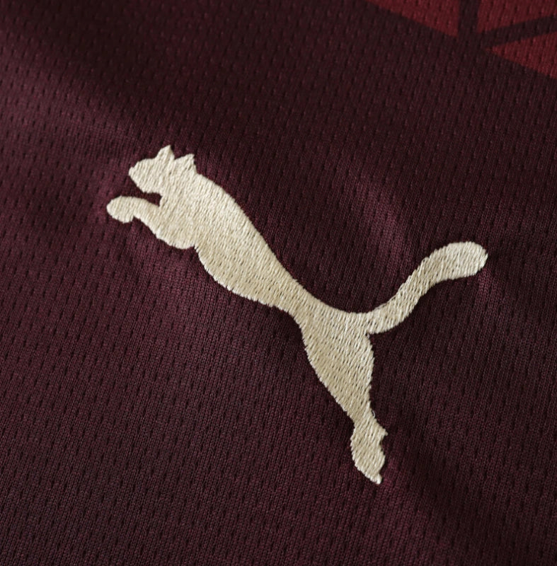 Man City 24/25 Third Kit