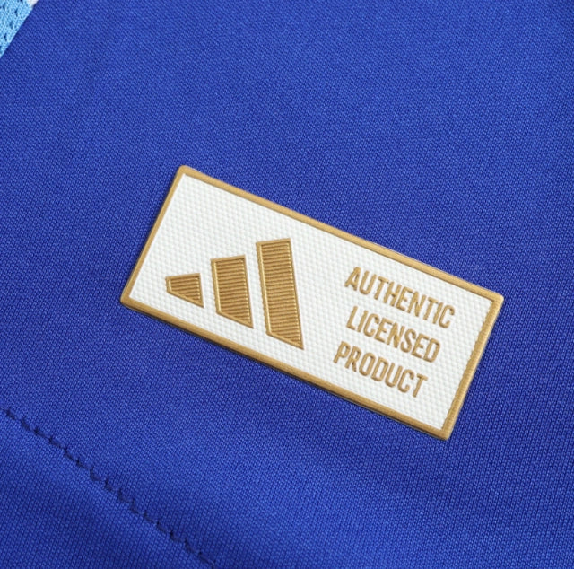 Argentina 2024 away jersey