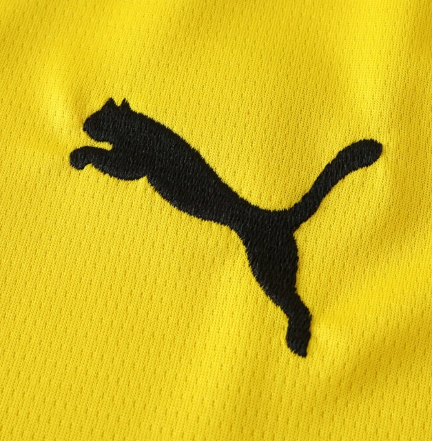 Dortmund 24/25 Champions League Jersey